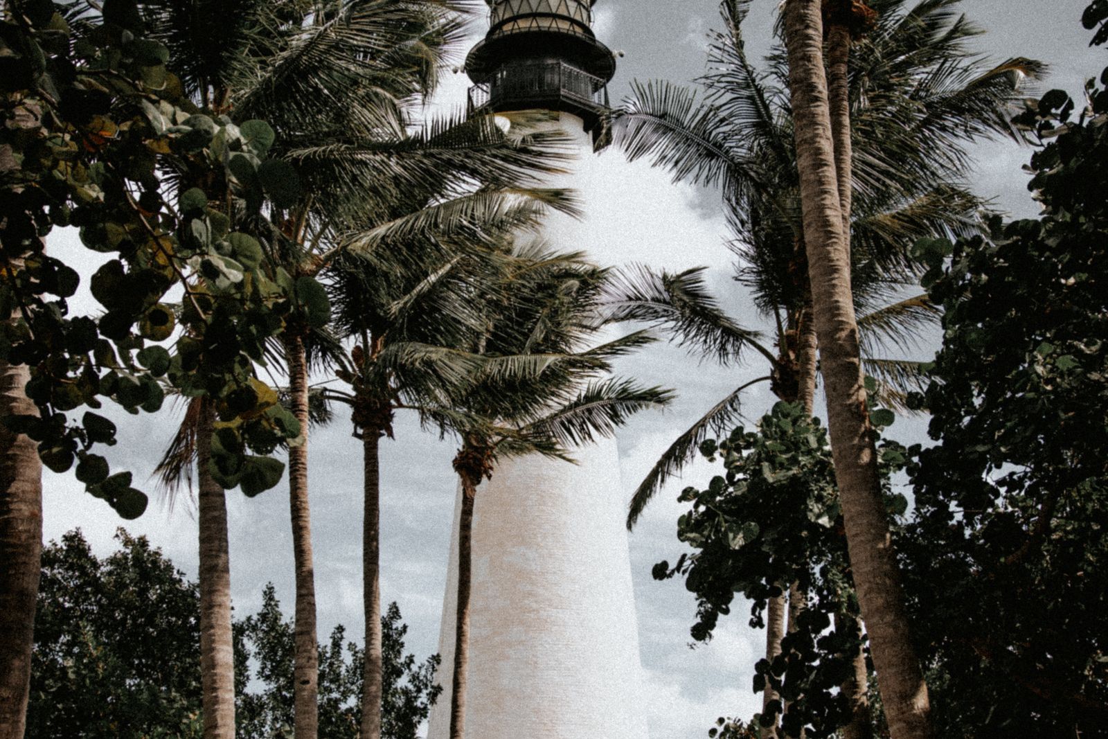 Palm trees framing the Cape Florida lighthouse